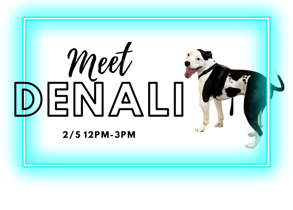 Meet and Greets with Denali!