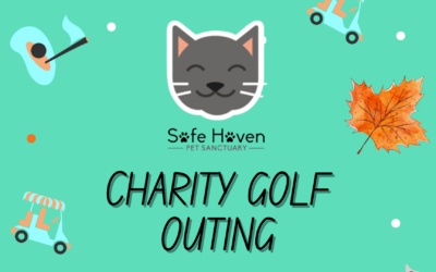 Safe Haven Charity Golf Outing