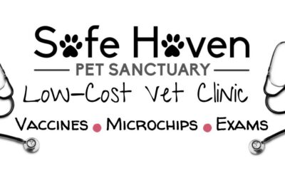 Low-Cost Veterinary Clinic 10/21