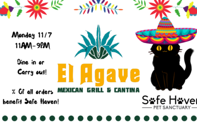 Dine for the Kitties at El Agave!