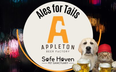 Ales For Tails At Appleton Beer Factory